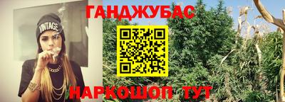 ALPHA PVP Камышлов